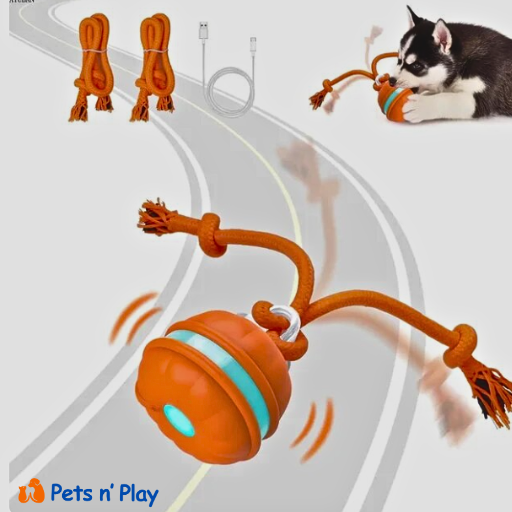 Pets n Play Running Rope Ball